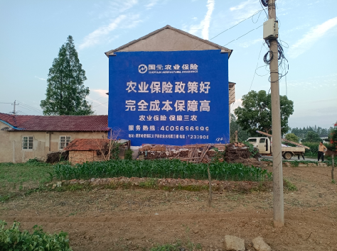 九龙墙体广告为何受追捧?