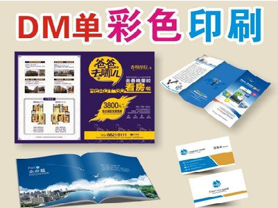  九龙单页印刷，色彩搭配简单。
